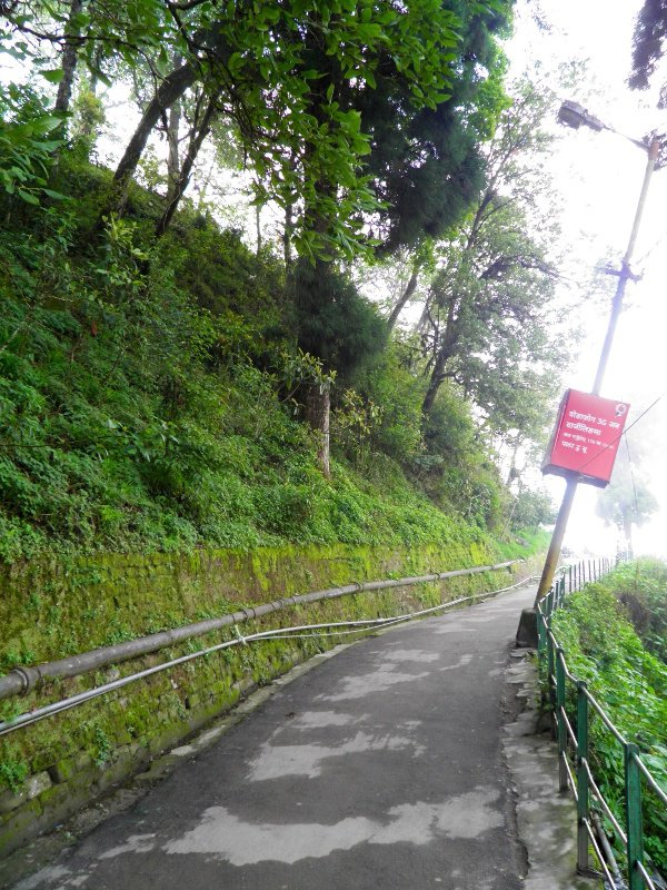 Darjeeling Walk