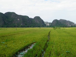 Tam Coc Cycle Ride