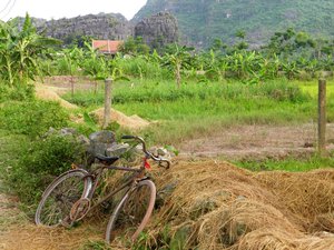 Tam Coc Cycle Ride
