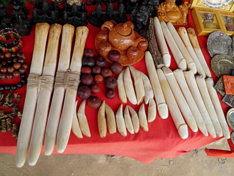 Ivory products for sale