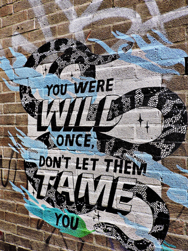 You Were Wild Once.....