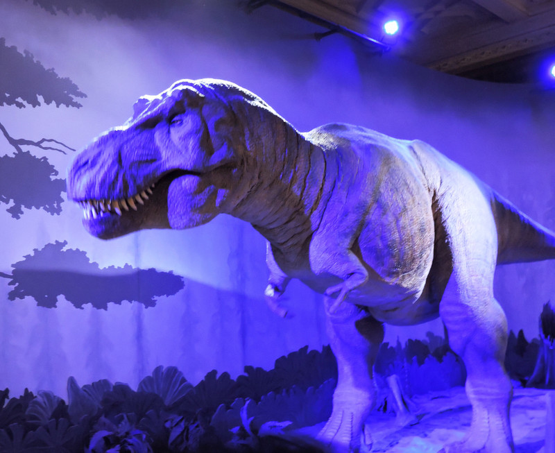 Animated T Rex Display