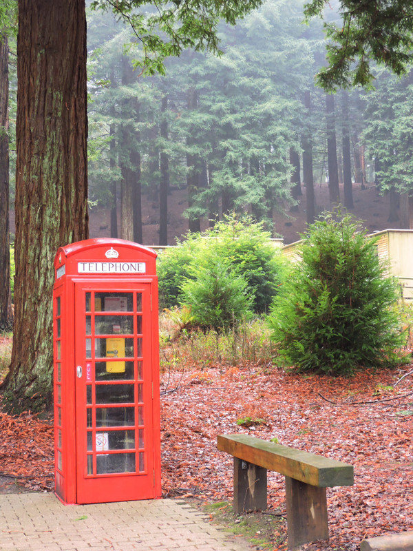 A Phone Box in the Forest