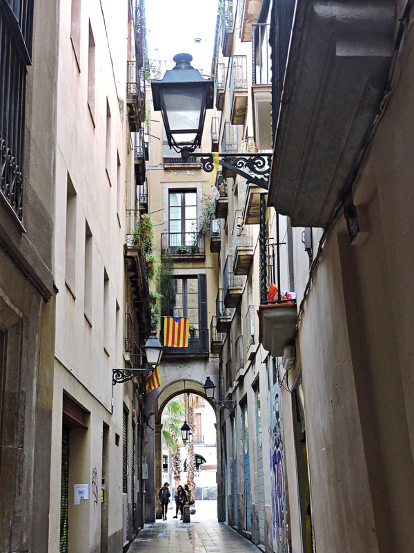 Narrow Street in the Gothic Quarter