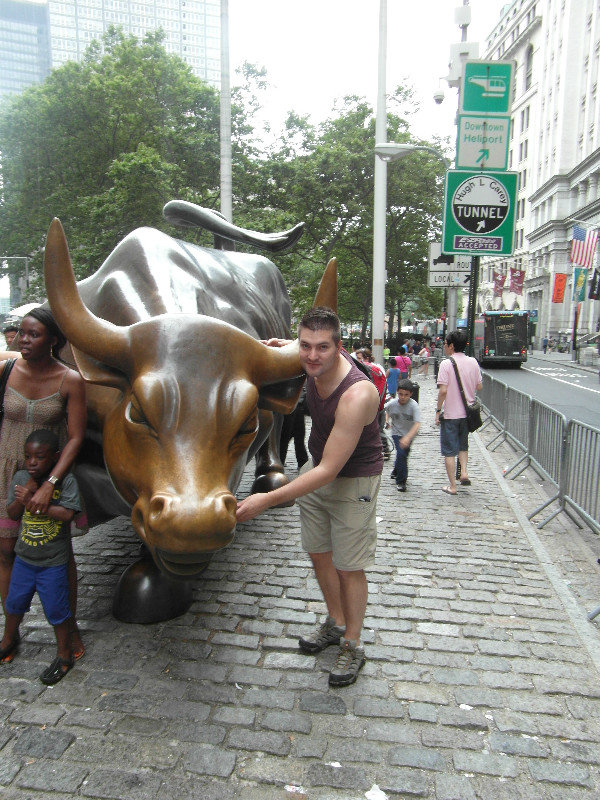 Merrill Lynch bull