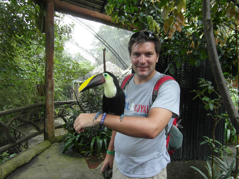 Toucan and myself