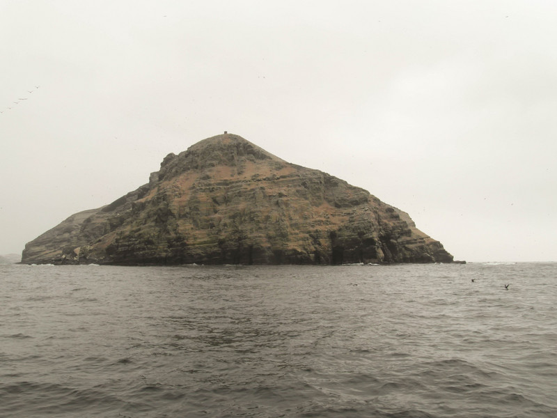 Palomino Island