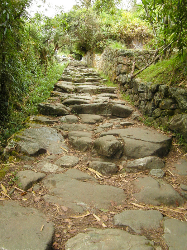 Wide steps