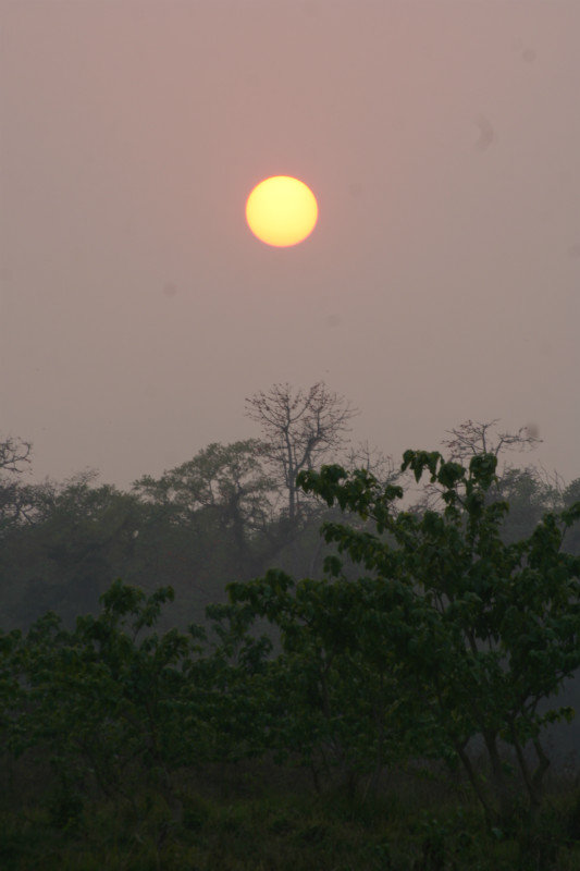 Sauraha sunset