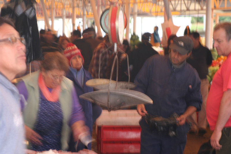 Valdivia Market