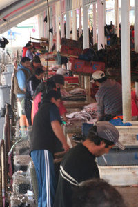 The fishmongers