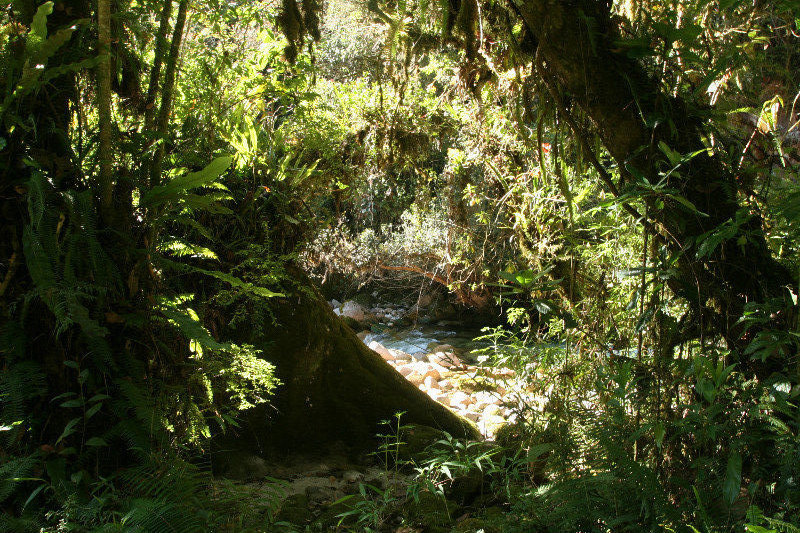 The river along the path