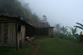 Morning fog at the campsite