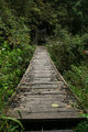 Another hanging bridge