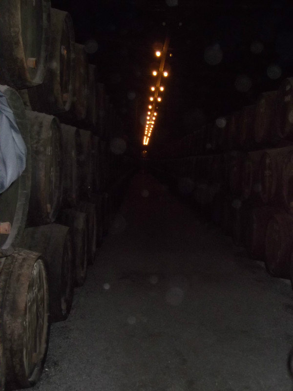 Alley of casks