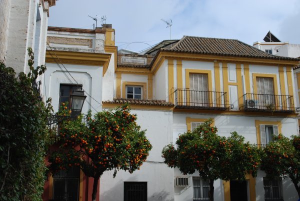 More buildings in Seville