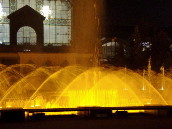 the fountain show