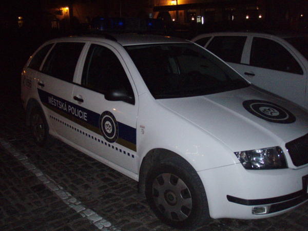 the police car