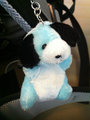 The lucky baby blue teddy dog that keeps falling of my bag