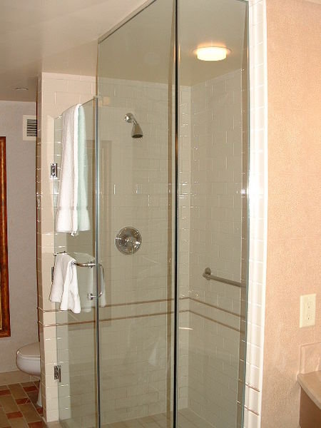 Bathroom - Glass Shower Stall