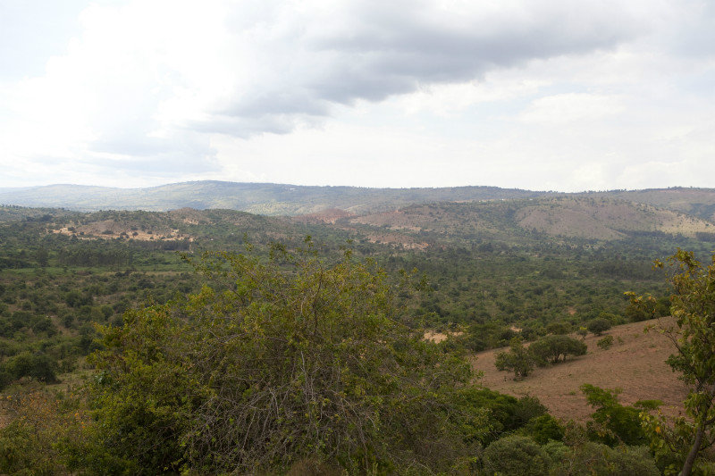 Overlooking KARUCO's 1000 Acres