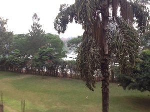 Morning in Kampala