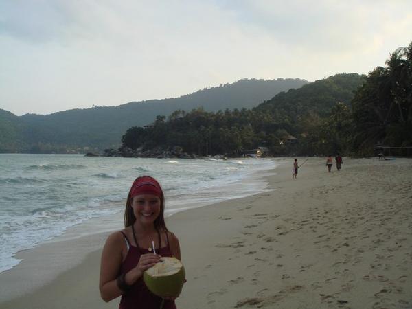 Coconuts on the Beach