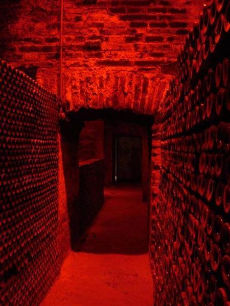 The Devil's Cellar