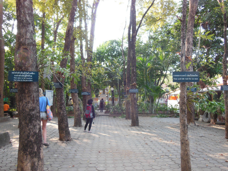 A garden of proverbs, Wat Phra Singh, Chiang Mai