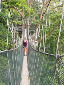 Me on the canopy walkway, FRIM