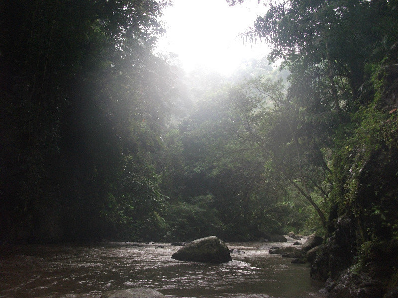 White-water rafting through rainforest, Ubud, Bali, Indo