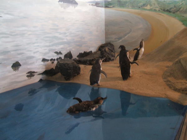 Plastic penguins