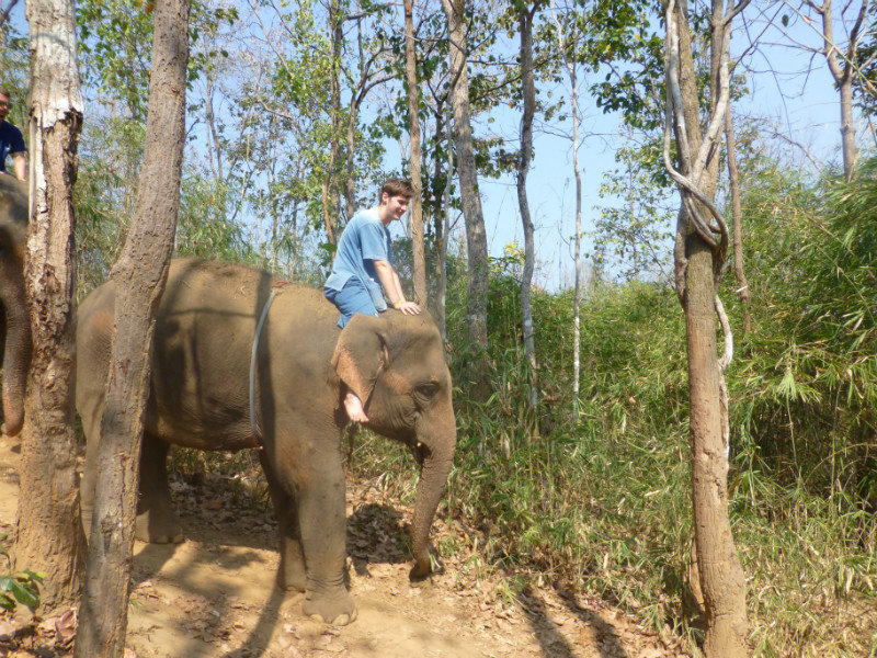 Riding the Elephant, Chiang Mai