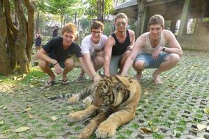All of us with a tiger, Chiang Mai
