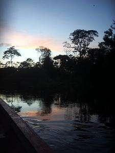 Amazonian Sunrise