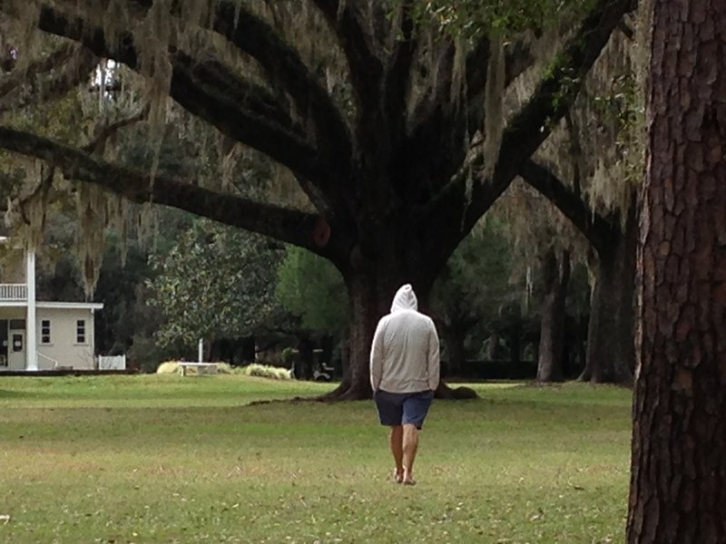 Kenny and the Live Oaks