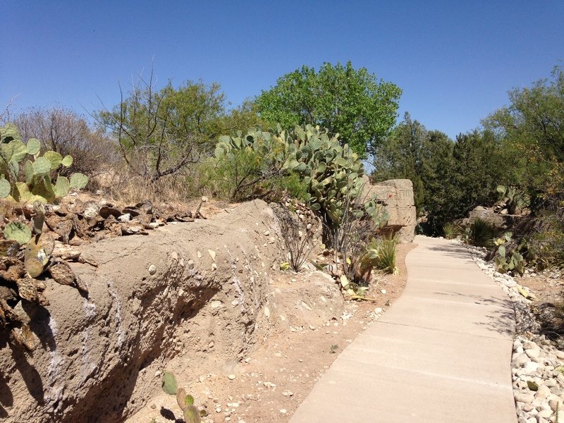 The Living Desert