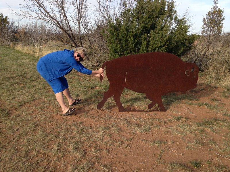 Cynde Wrestles the Baby Bison