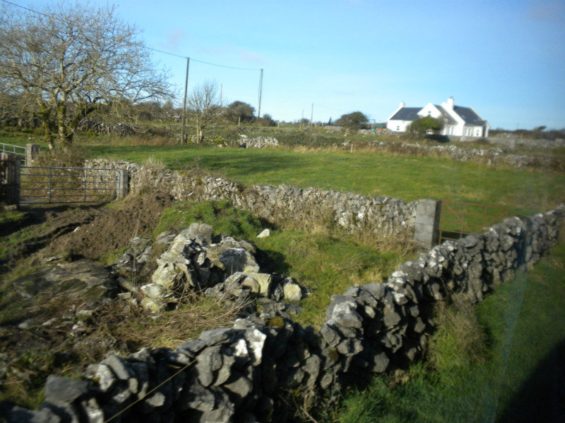 Fences in the Burren