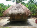 Typical Amazonian Hut.