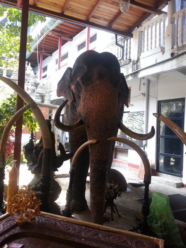 The Temples Elephant