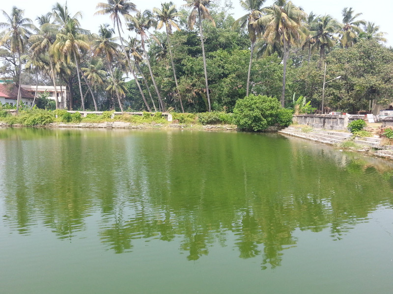 Pond next to the Palace