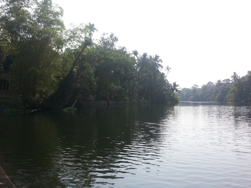 Floating down the Backwaters of Kerala