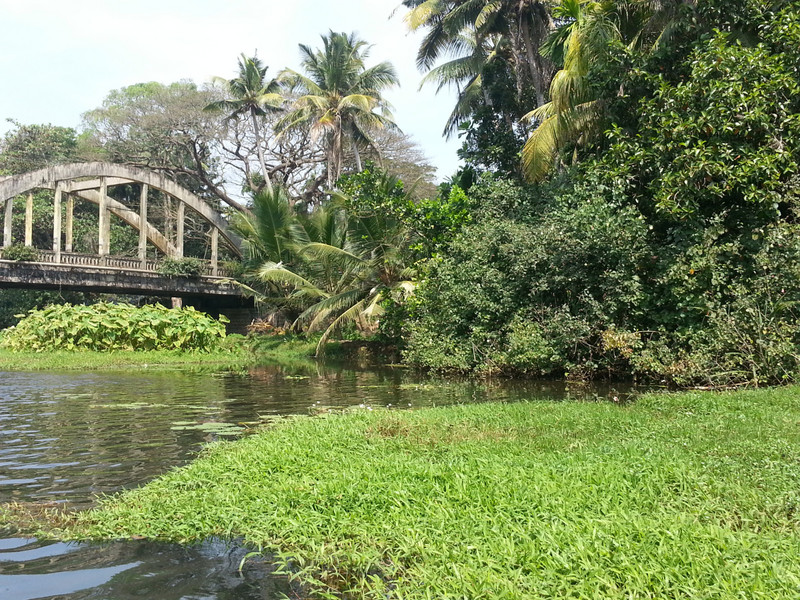 Floating down the Backwaters of Kerala