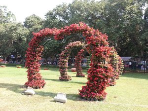 Archway of flowers
