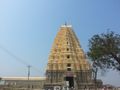 Heading into Virupaksha Temple
