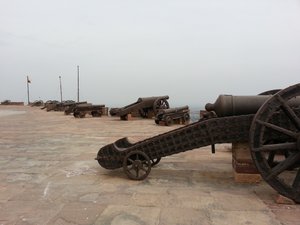 Mammoth the cannons