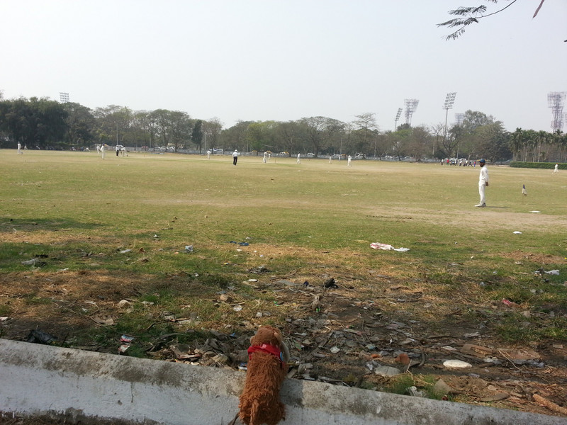 Watching the cricket