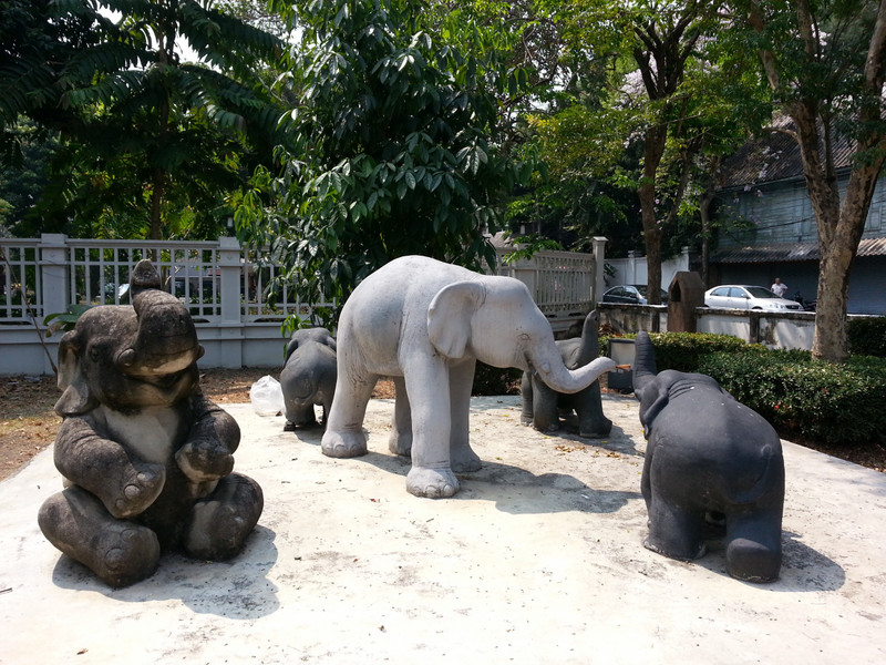 Just a few more elephants in the park