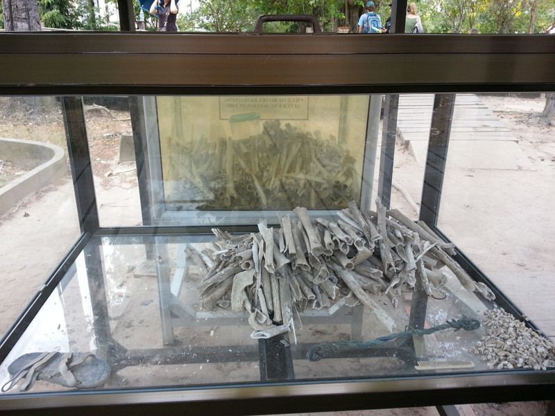 Bones that have been recovered